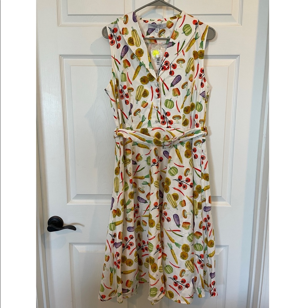 NWT Miss Lulo Jani Farmer’s Market Dress XL